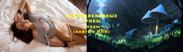 герыч Лиски