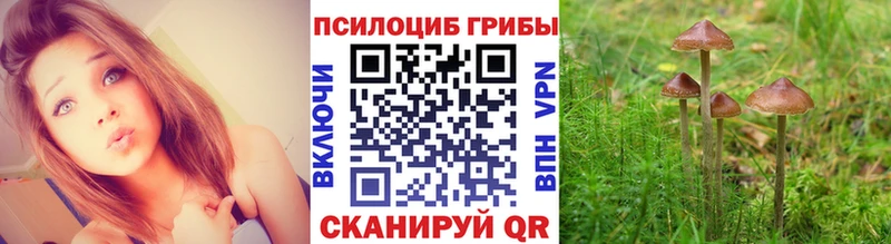 Псилоцибиновые грибы MAGIC MUSHROOMS  Северодвинск 
