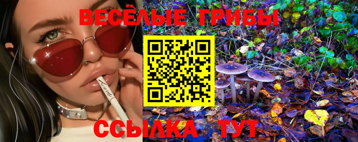 Галлюциногенные грибы MAGIC MUSHROOMS  Вход с VPN  Северодвинск  Галлюциногенные грибы Cubensis 