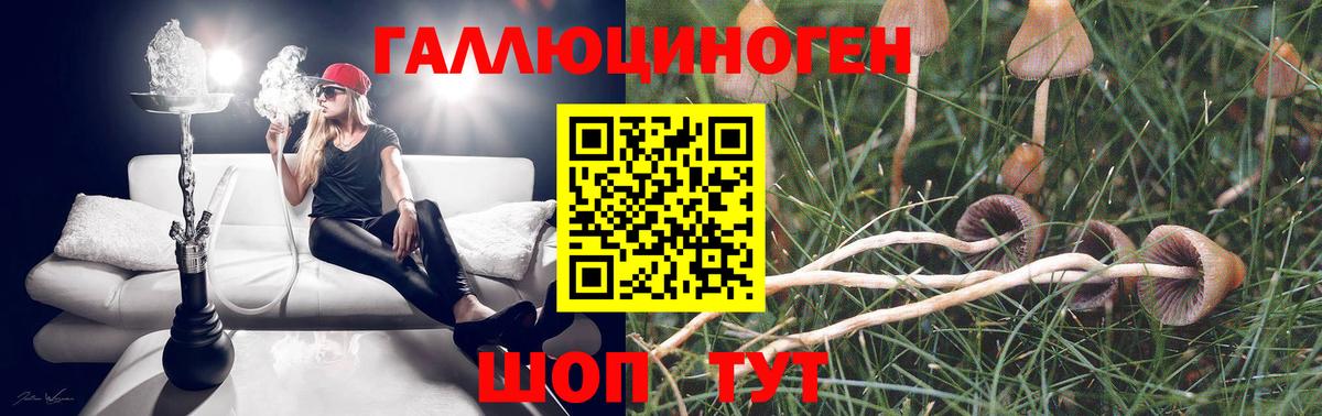 Псилоцибиновые грибы мицелий Северодвинск